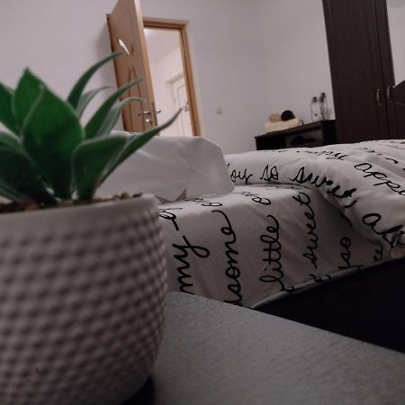 Casa Anastasiei ブラショフ エクステリア 写真