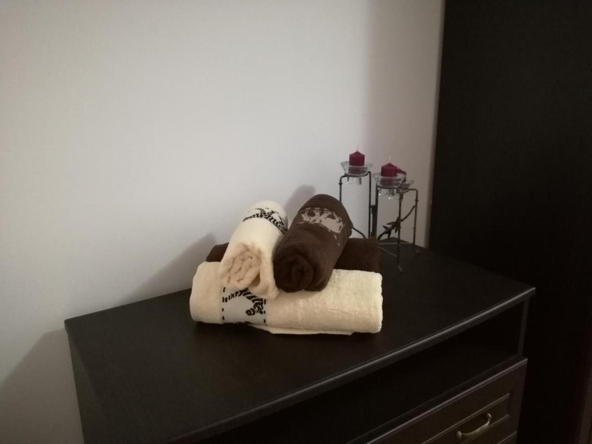 Casa Anastasiei ブラショフ エクステリア 写真