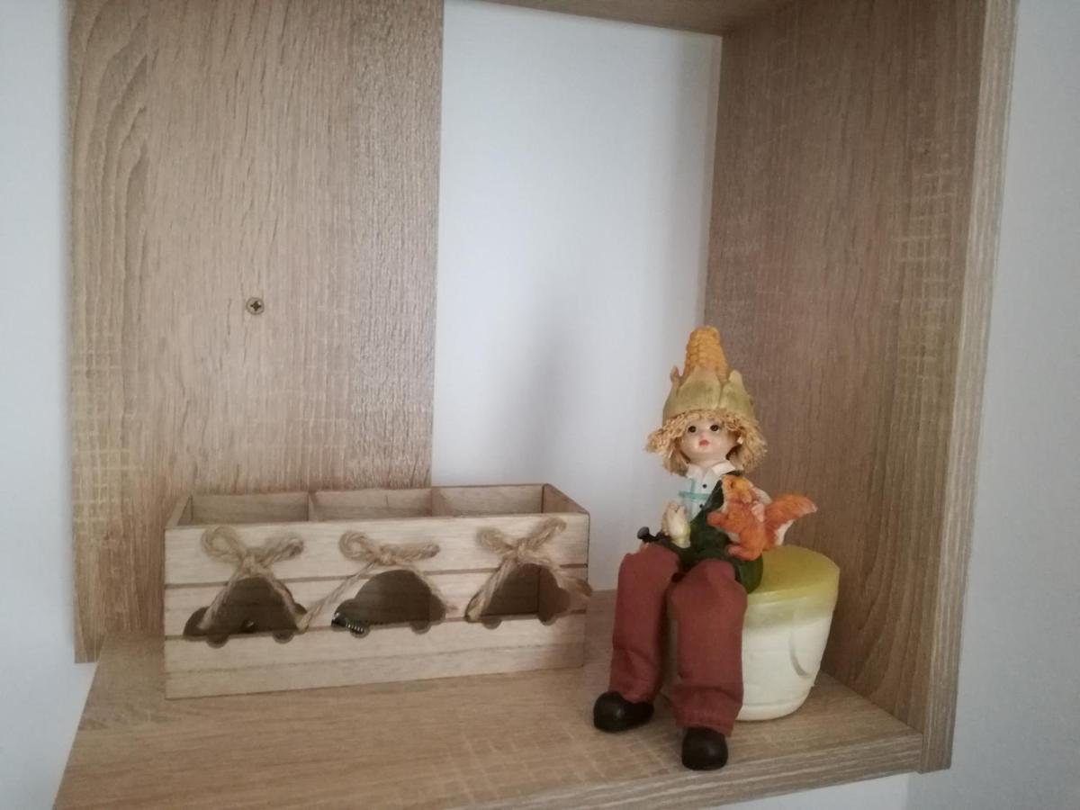 Casa Anastasiei ブラショフ エクステリア 写真