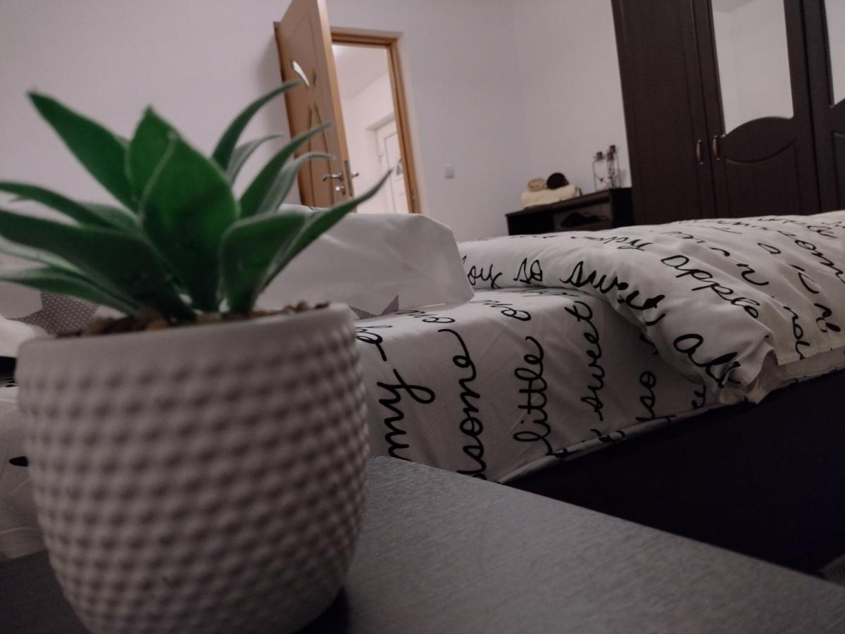 Casa Anastasiei ブラショフ エクステリア 写真