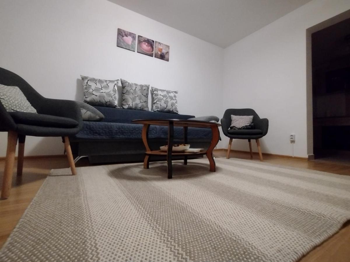 Casa Anastasiei ブラショフ エクステリア 写真