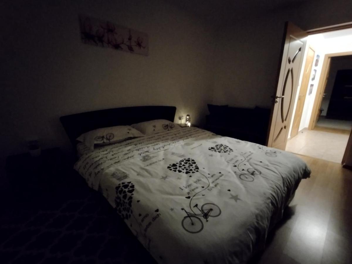 Casa Anastasiei ブラショフ エクステリア 写真