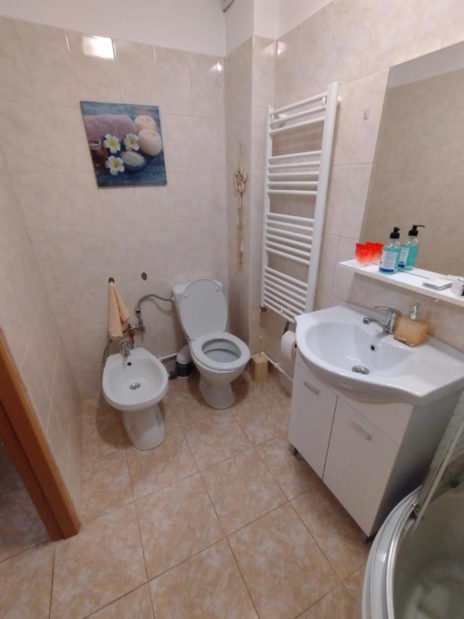 Casa Anastasiei ブラショフ エクステリア 写真